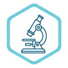 azmaynshimilab
